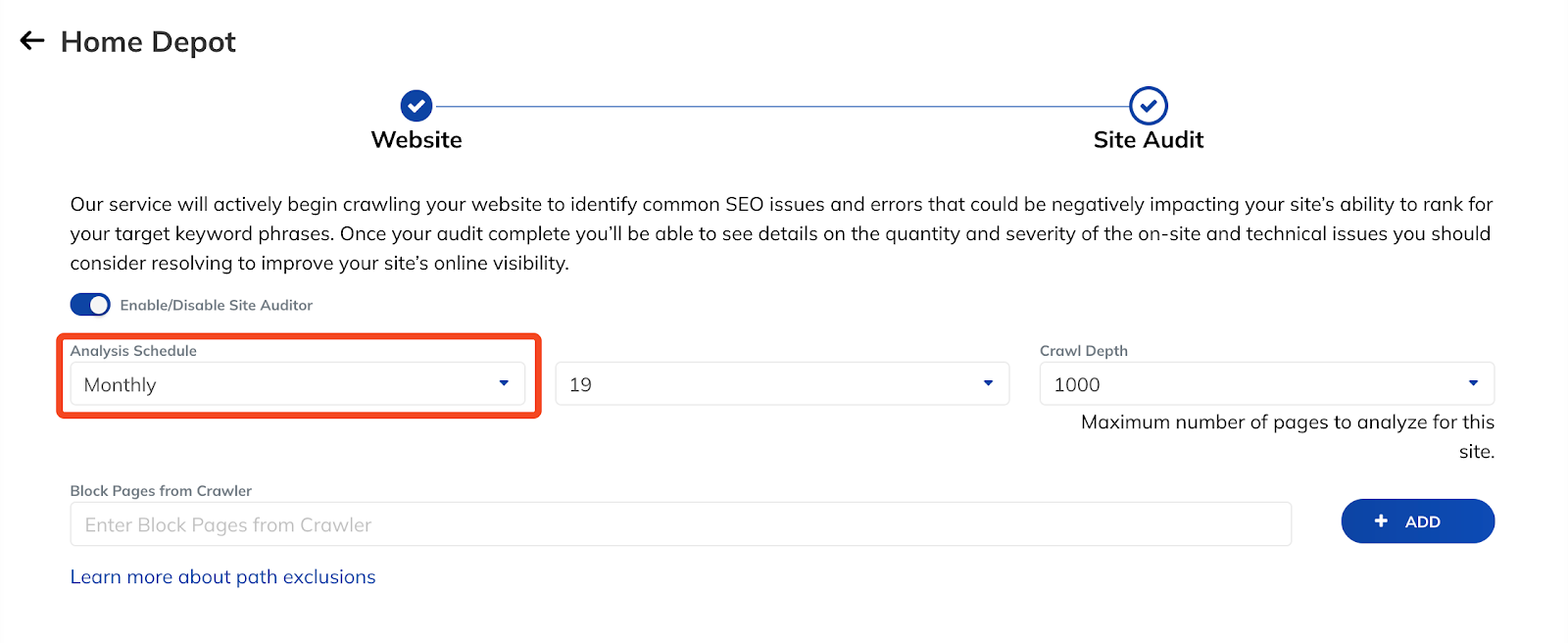 Raven site audit settings page displaying analysis schedule, crawl depth options, and page exclusion fields.