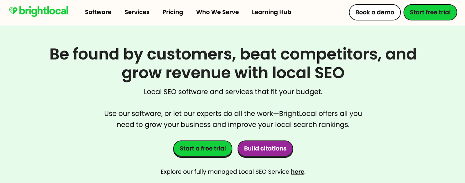 BrightLocal website homepage