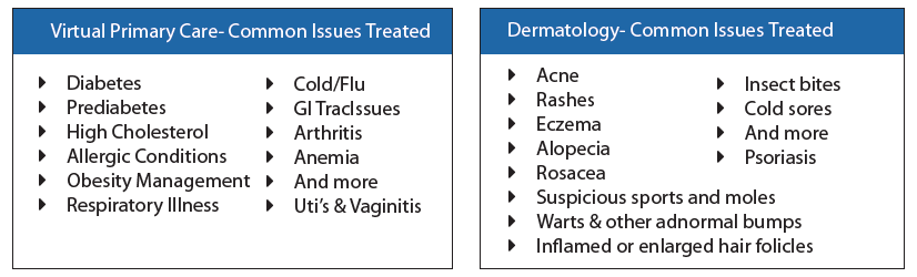 Virtual primary care and dermatology common issues treated