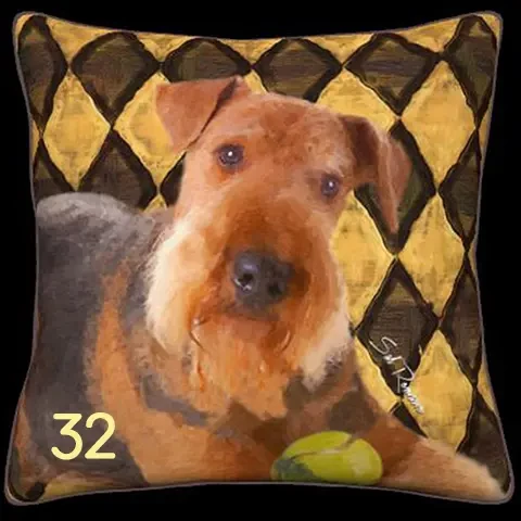 Airdale - Yellow & Black