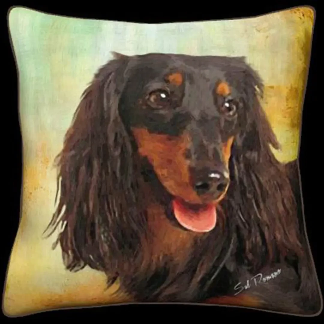 Black Long-Haired Dachshund