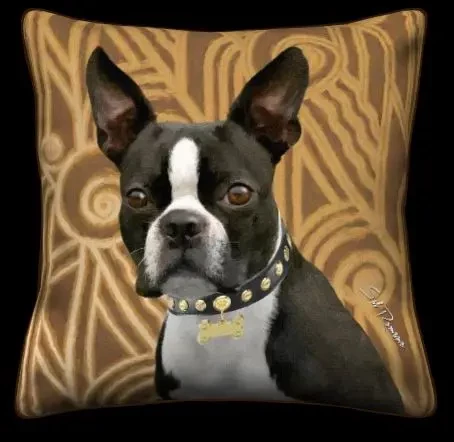 Boston Terrier - Tan