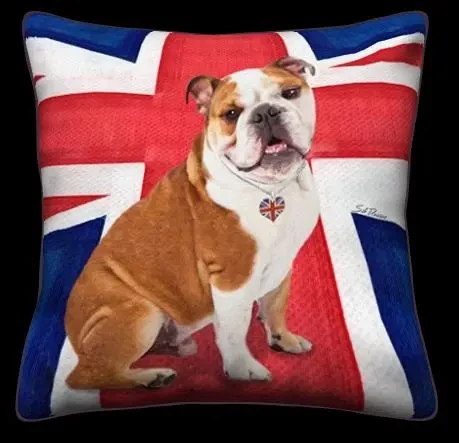 Bulldog - Union Jack