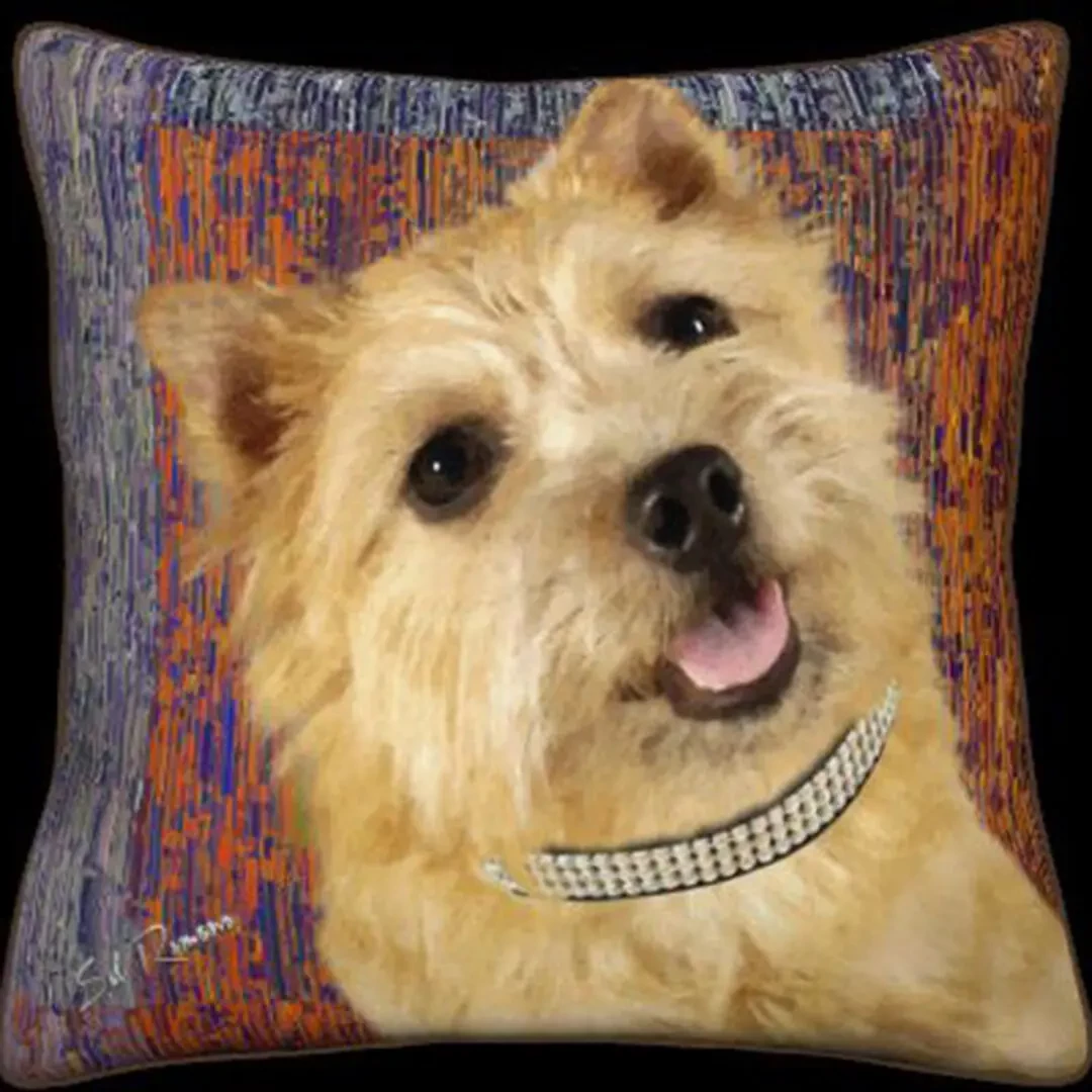 Cairn Terrier
