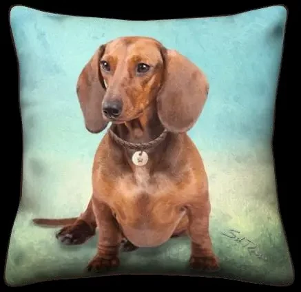 Dachshund - Aqua