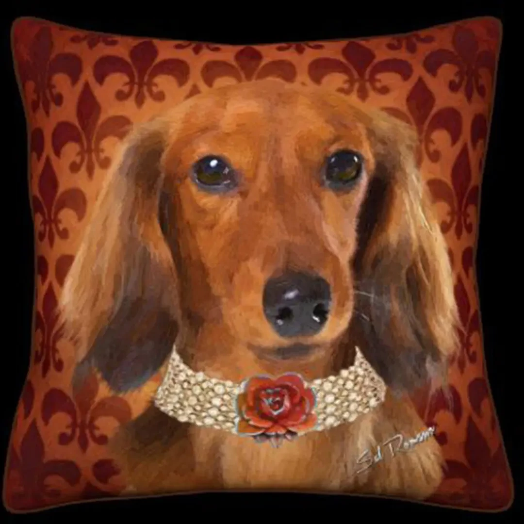 Long-Haired Dachshund