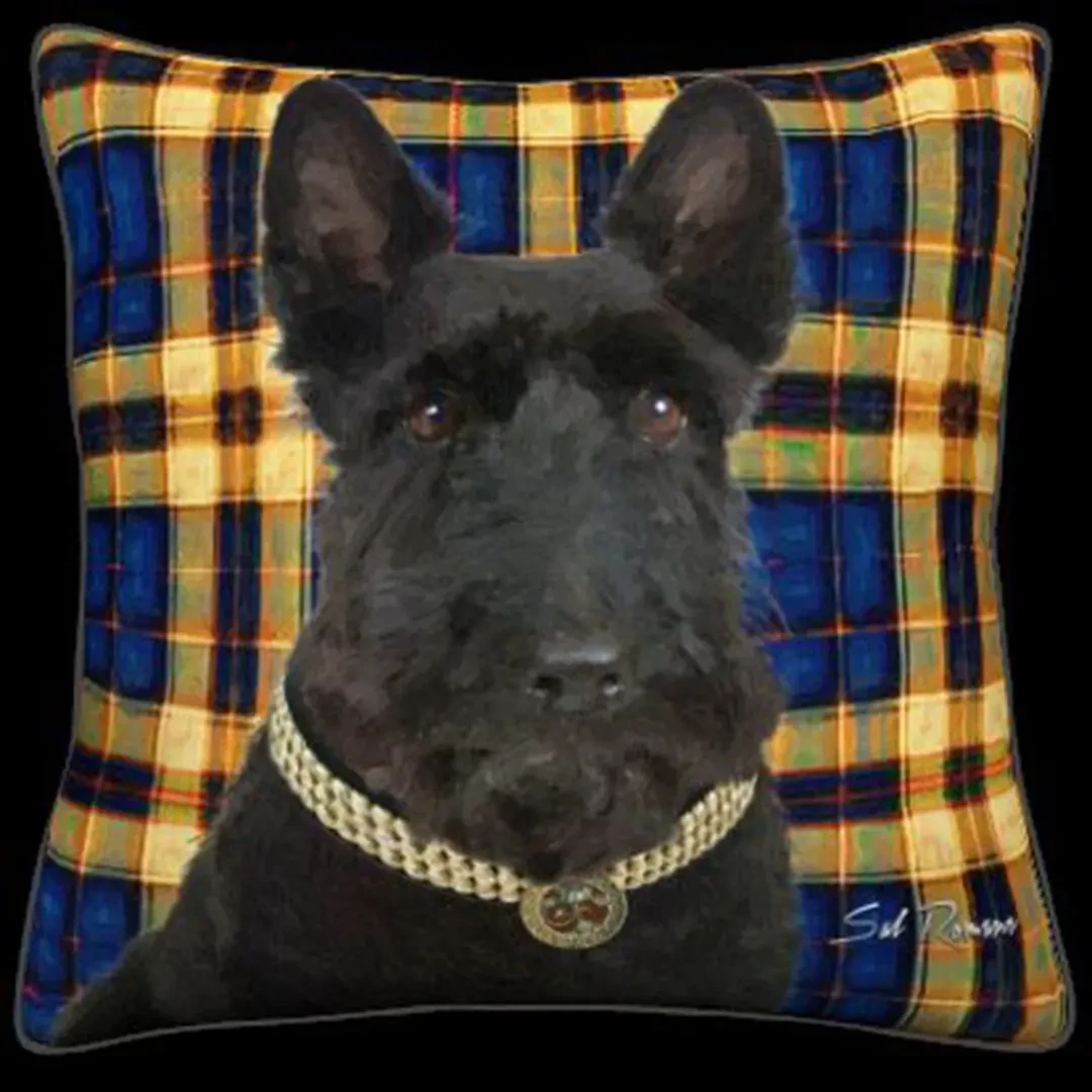 Scottish Terrier - Blue