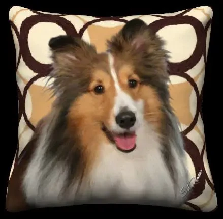Shetland Sheep Dog