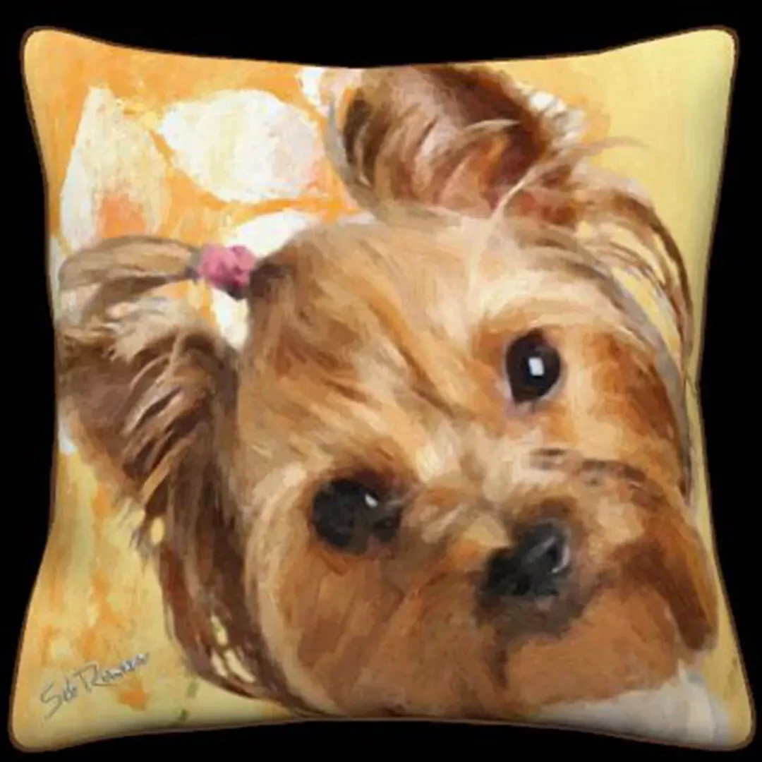 Silky Yorkie