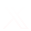 icon-x