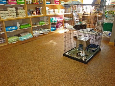 rubaroc in animal care shelter