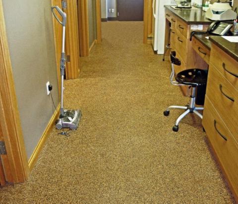 rubaroc in vet care center