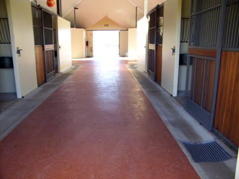 rubaroc in animal care kennel