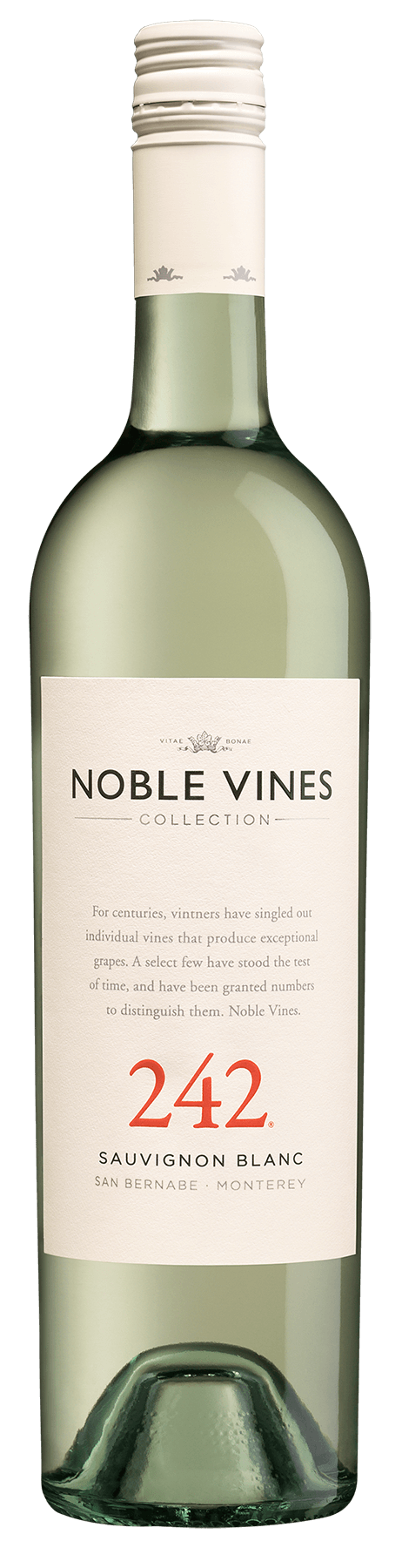 NOBLE VINES 242 SAUVIGNON BLANC 750M