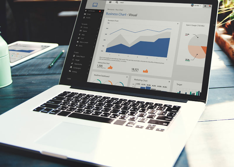 Fully Customized Websites with Advanced SEO