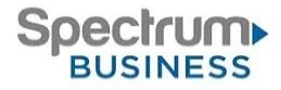 Spectrum Business
