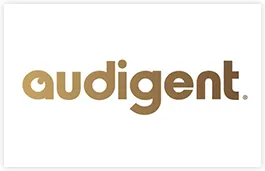 Audigent