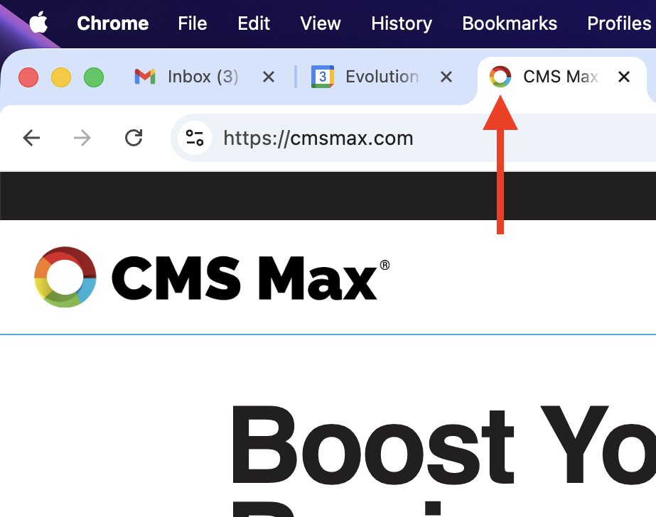 Screenshot with an arrow pointing out a site's favicon