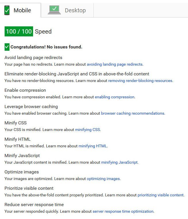 Perfect Mobile Website Speed Score