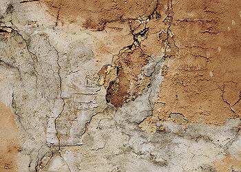 Exterior Siding Decay