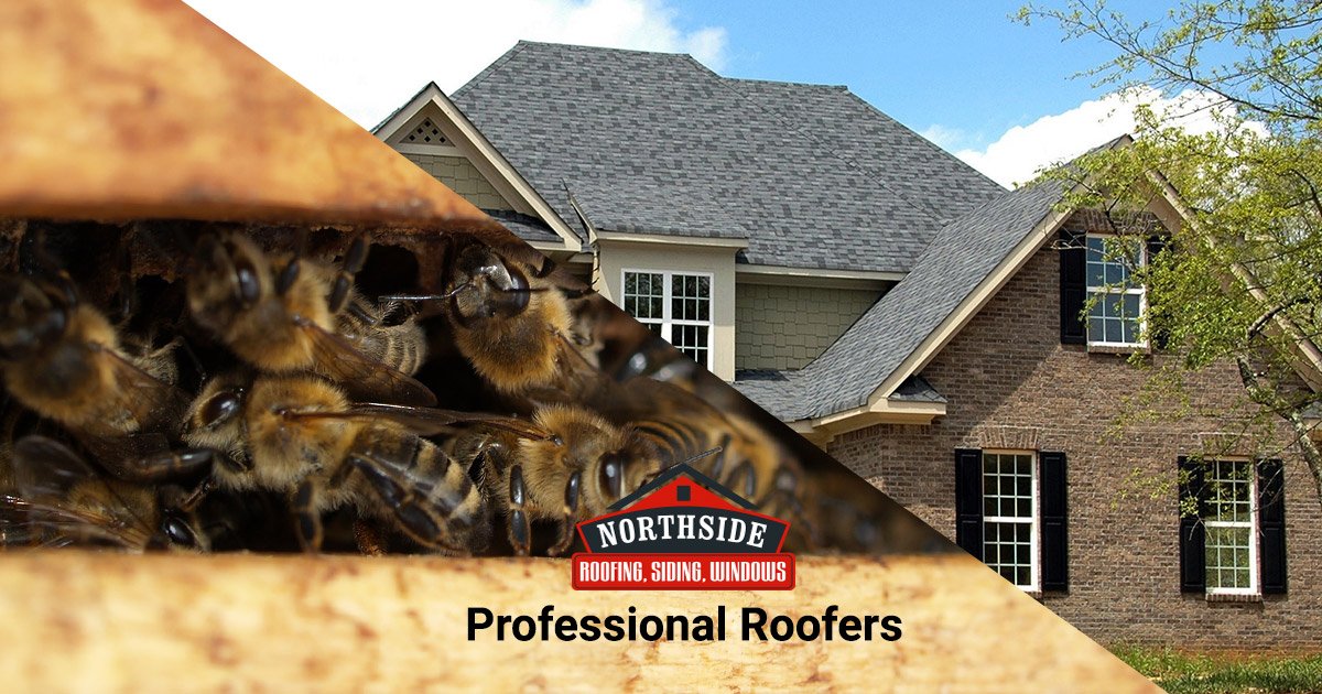 Professional Roofers Keep the Bees out!
