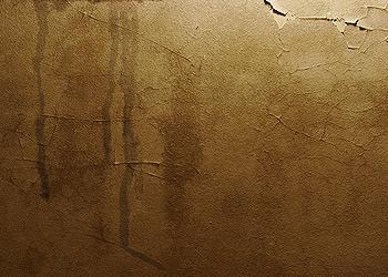 Interior Ceiling Stains