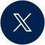 x logo