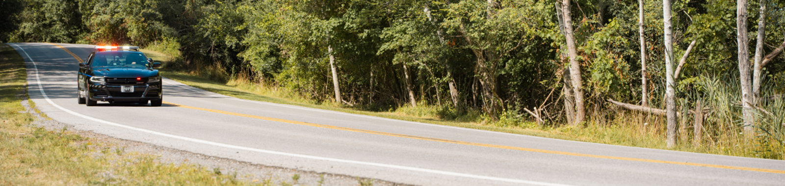 Header banner image