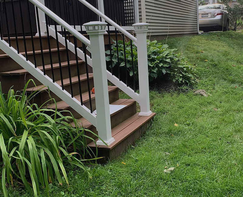 Lawn and Plant Care
