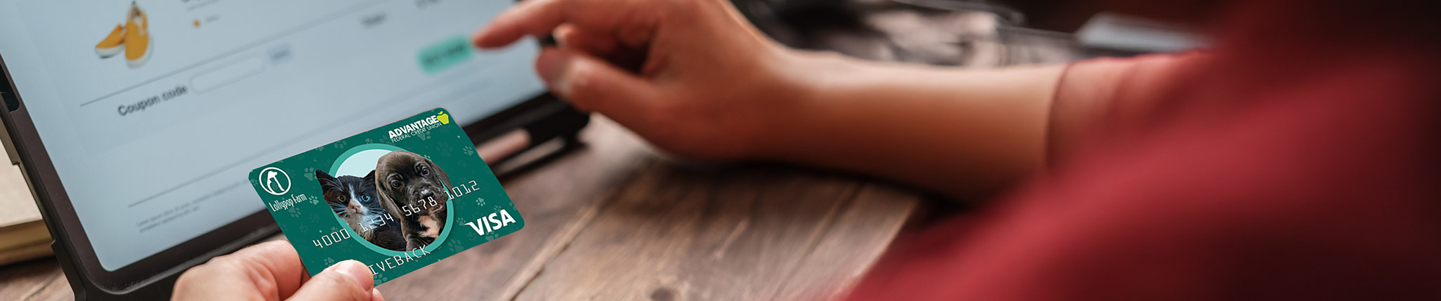 Debit Card Fraud & Disputes