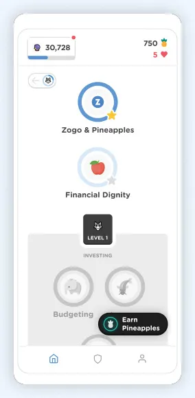 Zogo Image 1