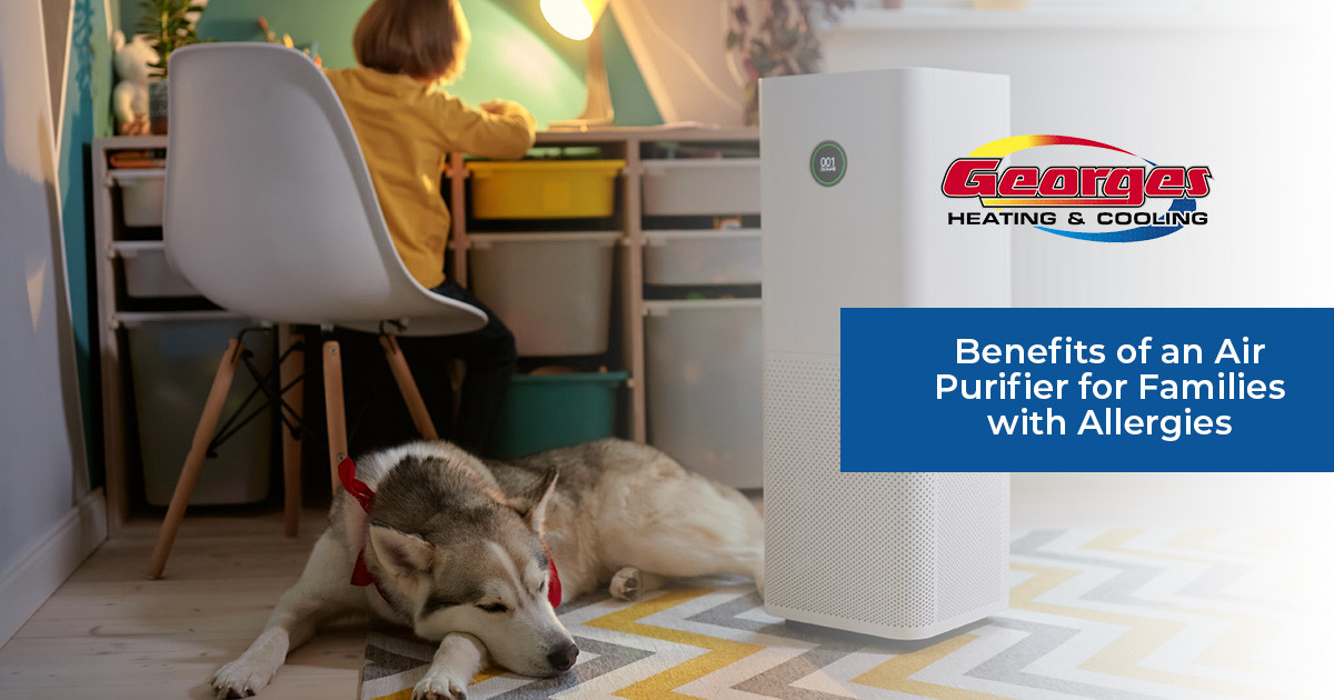 Benefits of an Air Purifier for Families with Allergies