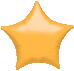 Metallic Gold Star
