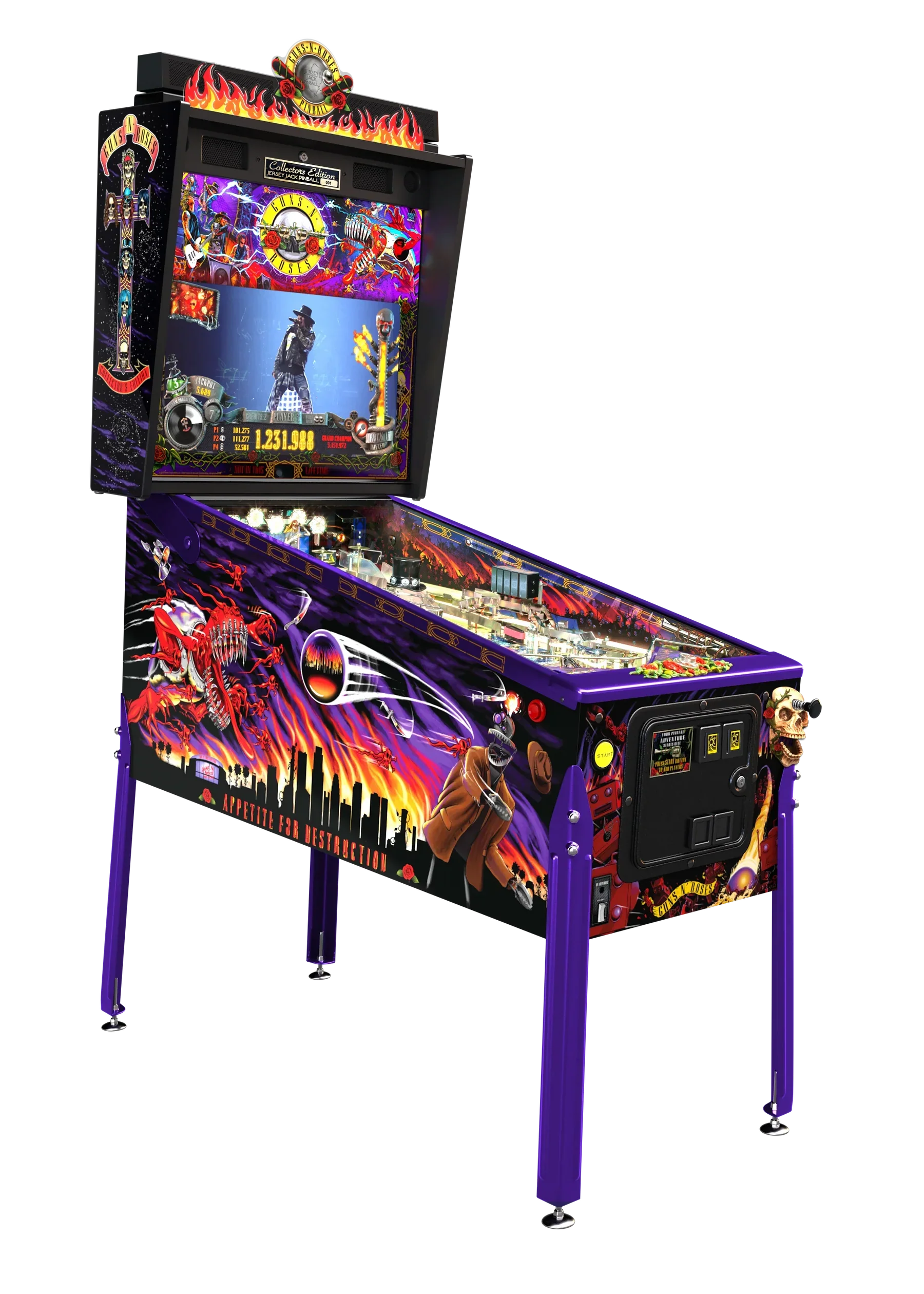 Guns N' Roses: Not In This Lifetime