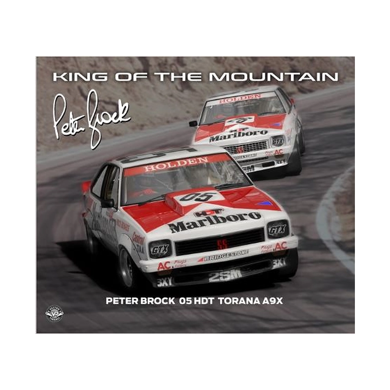 Peter Brock King of the Mountain Pinball