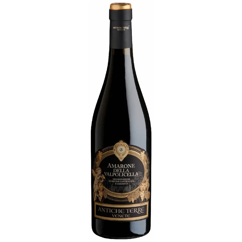 Antiche Terre Amarone 750ml