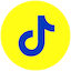 tiktok icon
