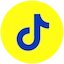 tiktok icon