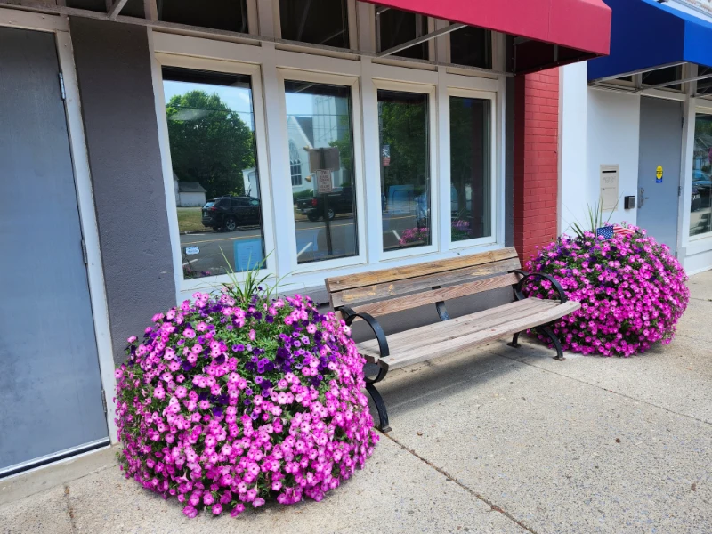 Town of Marion Building