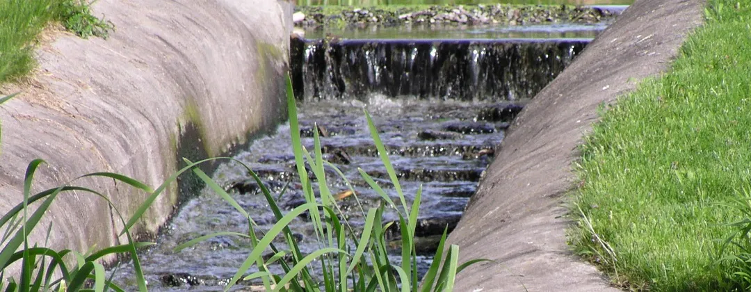 Wet Lands at Marion Wastewater Treatment Plant