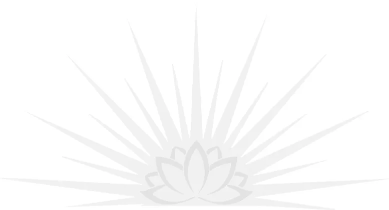 A stylized lotus flower with radiating lines resembling sun rays in a light gray color.