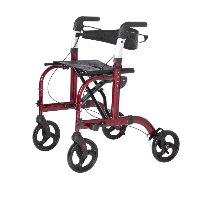 Translator Rollator & Transport Chair 2-in-1