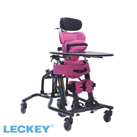 Leckey Mygo pediatric stander