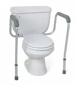 Toilet Safety Rails