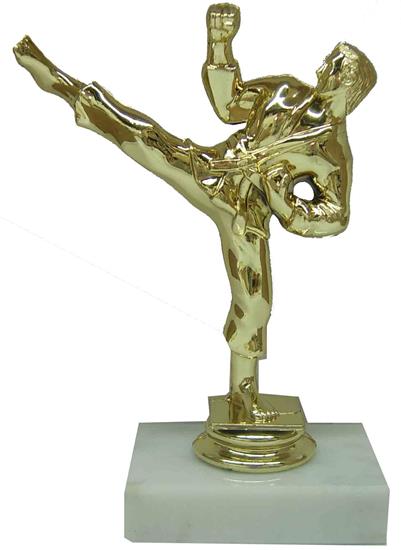 Female Karate Trophy