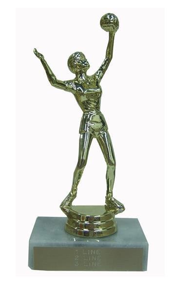 Volleyball Trophy