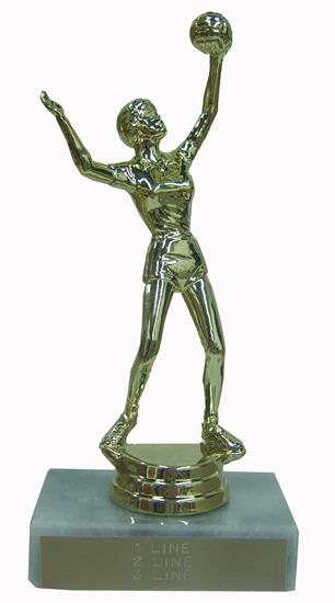 Volleyball Award Trophy