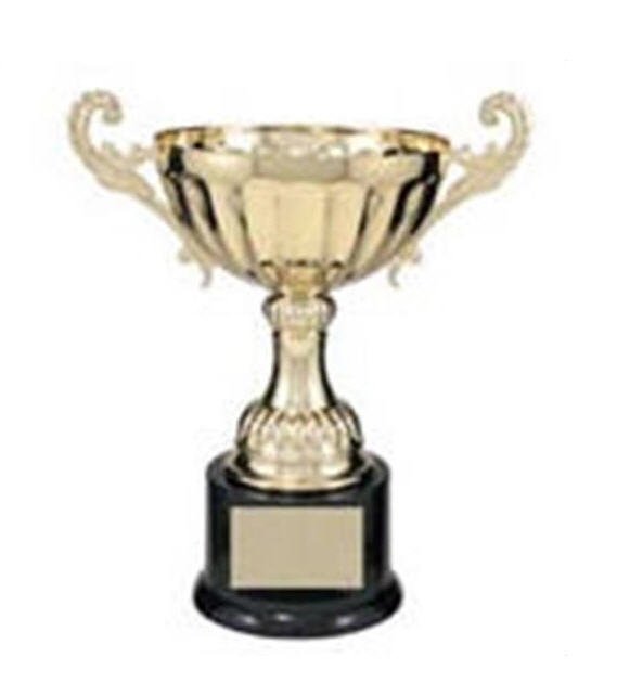 Gold Metal Cup with Handles