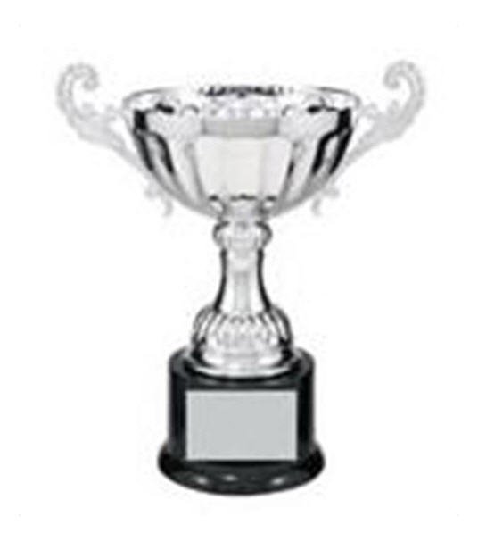 Silver Metal Cup with Handles