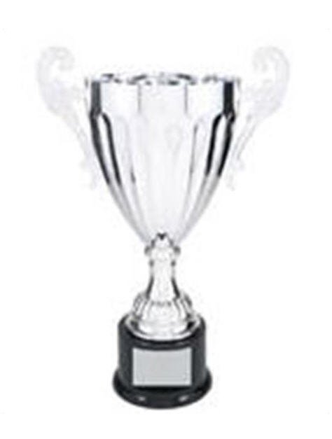Silver Award Cup